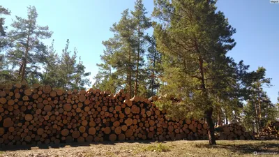 Малиновое озеро Алтайский край где находится, фото, базы отдыха, на карте,  как доехать, видео