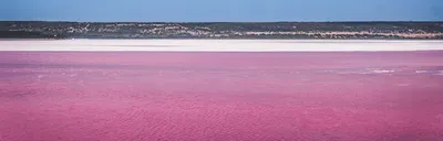 Яровое розовое озеро (77 фото) - 77 фото