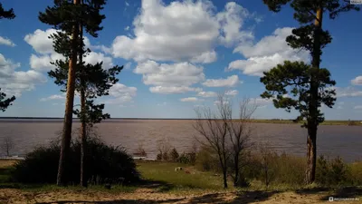 Вид на озеро | Малиновое Озеро (Михайловский район) | Фотопланета