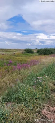 Малиновое озеро на Алтае: где находится на карте России, фото, цены,  отзывы, как добраться