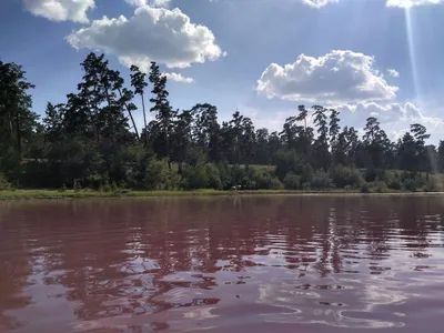 Малиновое озеро, Михайловский район, Алтайский край. Фото, отдых, как  доехать и где остановиться – Туристер.Ру