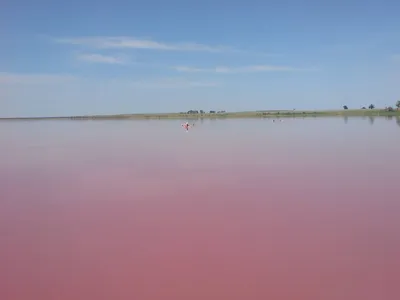 Розовое озеро алтай - 70 фото