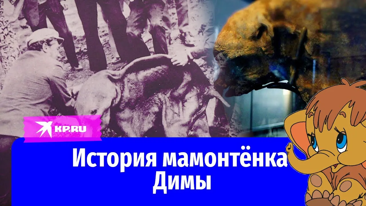 Мамонты / Зоологический музей | ЕВГЕНИЙ КУЗНЕЦОВ | Дзен Мамонты / Зоологический музей | ЕВГЕНИЙ КУЗНЕЦОВ | Дзен