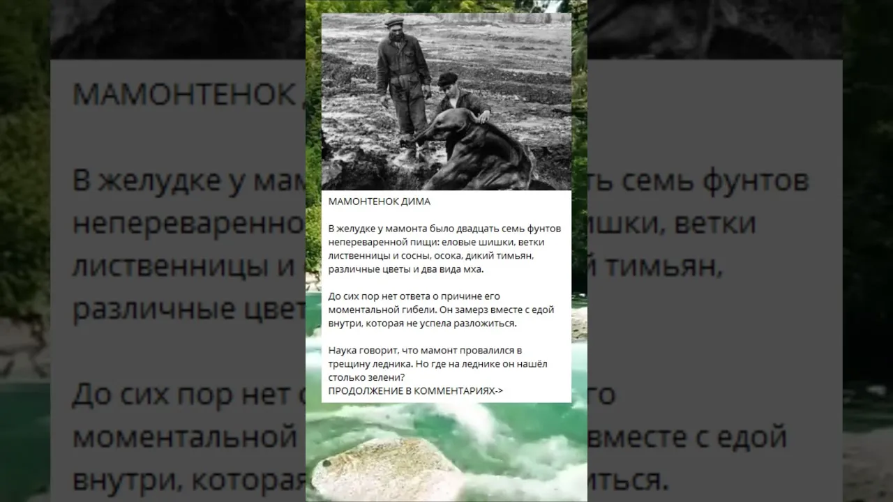 У пситтакозавра Кузбассика появится друг — мамонтёнок Дима | ОБЩЕСТВО | АиФ Кузбасс У пситтакозавра Кузбассика появится друг — мамонтёнок Дима | ОБЩЕСТВО | АиФ Кузбасс