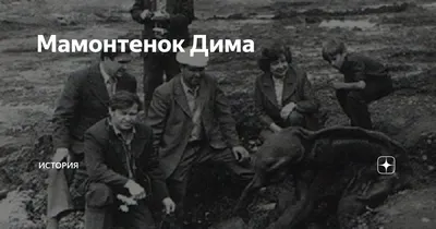 Мамонт Дима. Слонята. Каталог.