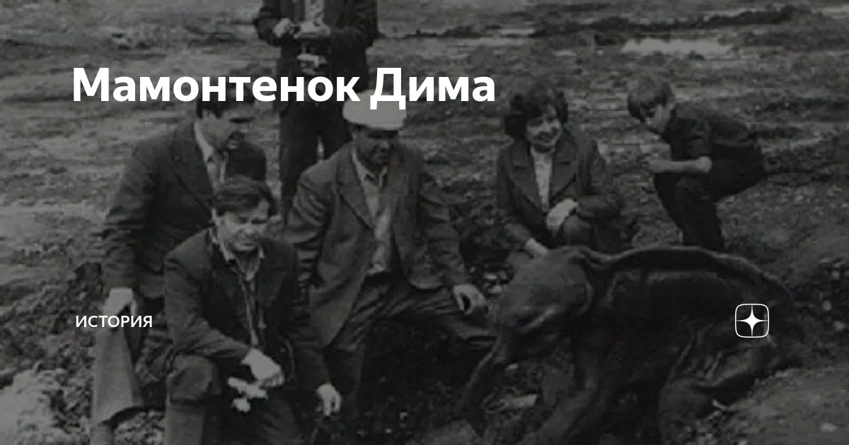 Мамонт Дима. Слонята. Каталог. Мамонт Дима. Слонята. Каталог.
