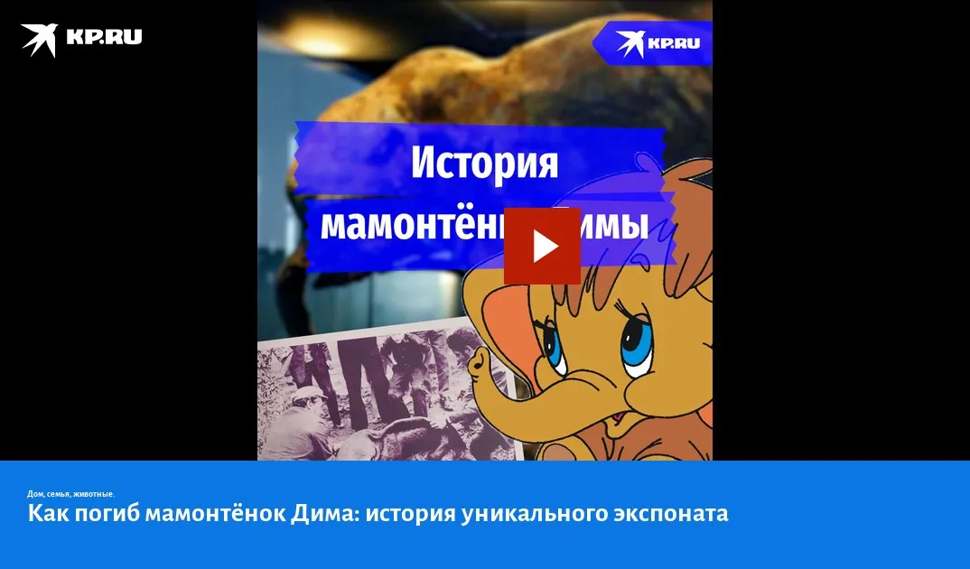 9 лет назад на берегу бухты Нагаева в Магадане появился железный мамонт | Магаданская Правда 9 лет назад на берегу бухты Нагаева в Магадане появился железный мамонт | Магаданская Правда