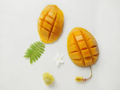манго, выращивание