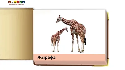 КЛАССНОЕ ДЕЛО\" учитель начальных классов \"Средняя школа №3г.Мосты\" Новицкая  Татьяна Николаевна: Виртуальная библиотечка