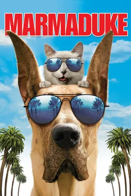 Мармадюк / Пожарный пес (2 DVD) - купить фильм на DVD по цене 350 руб в  интернет-магазине 1С Интерес