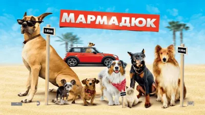 Мармадюк, 2022 — смотреть мультфильм онлайн в хорошем качестве на русском —  Кинопоиск