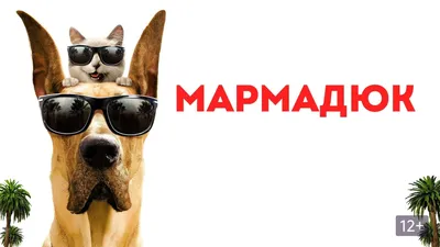 Мармадюк (2022) - «– Человеку мусор, собаке – сокровища. (с) Мультфильм  Мармадюк 2022 – рейтинг 3.7 на кинопоиске. » | отзывы