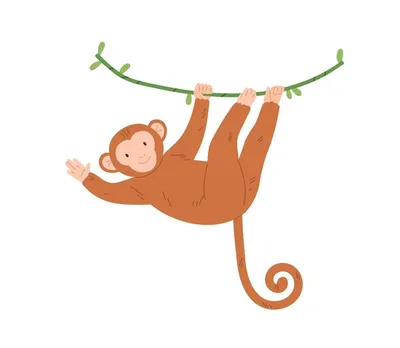 ручная обезьяна PNG , животное, мультфильм, Карликовая обезьяна PNG  картинки и пнг PSD рисунок для бесплатной загрузки