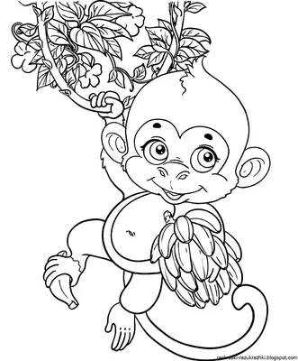 Pin by Valentina on Clip art та малюнки | Baby monkey, Pet monkey, Baby  animals