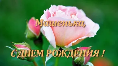 Машенька с днём рождения | С днем рождения, Открытки, Рождение