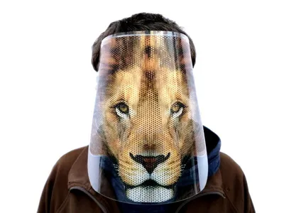 Прикольные маски для лица | Экран с изображением Льва
