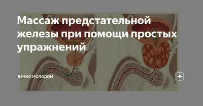 Красноярский уролог Иван Рендашкин рассказал, чем опасно воспаление простаты  - 3 сентября 2023 - НГС24