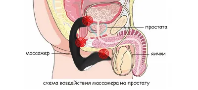 Лучшие массажеры простаты | ТОП-6 массажеров простаты 2023