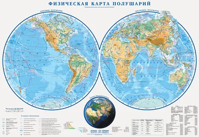 Картонные пазлы в рамке Материки Африка (53 дет.), Додо / Dodo (R300175) по  доступной цене