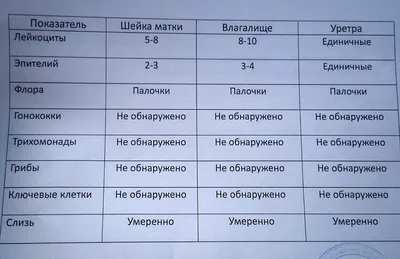 Смартлаб, незалежна медична лабораторія - Цитология в гинекологии/ Почему  мазок столь важен? Для начала ответим на простой вопрос, неужели мазок на  цитологию представляет такую важность, что каждый гинеколог старается взять  его при