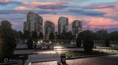 Фаленопсис Карибская мечта купить в Москве