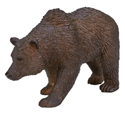 Североамериканский бурый медведь, гризли Стоковое Фото - изображение  насчитывающей гризли, крупнейший: 76143740