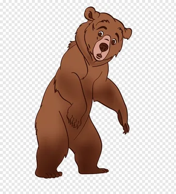 Медведь рисунок для детей - 80 фото