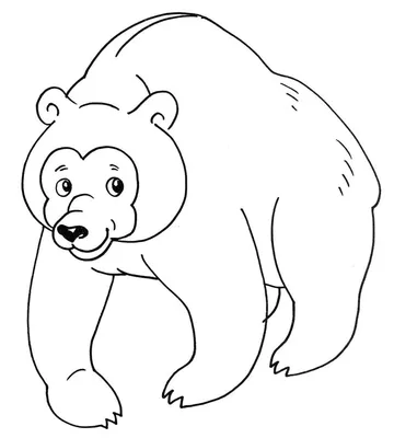 мультяшный медведь на белом фоне. плоский рисунок для детей. Иллюстрация  вектора - иллюстрации насчитывающей плоско, намордник: 226298282