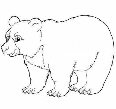 Медведь мультфильм иллюстрации, изолированных на белом фоне для плакаты на  стену • плакаты природа, живая природа, вектор | myloview.ru