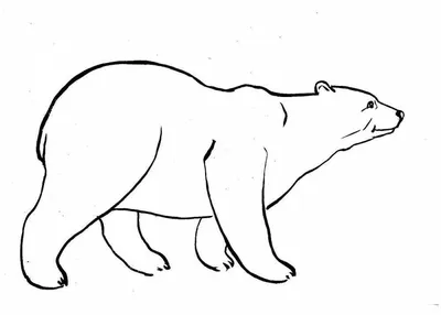 Моделирование дикой жизни, гризли, медведь, пещера, медведь, модель  животного, фигурки, коричневый медведь, коллекция домашнего декора,  образовательная фигурка для детей | AliExpress
