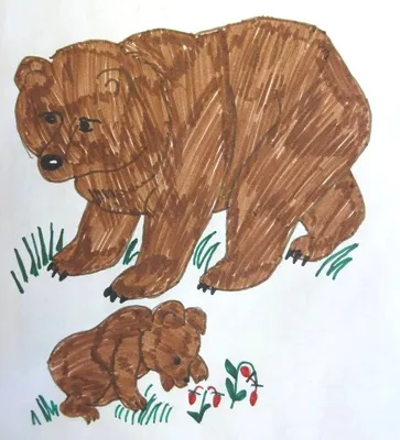 Медведь с малиной и медом - Животные для малышей - Раскраски антистресс
