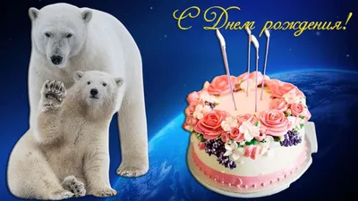 Красивая открытка поздравление с Днем рождения от белых медведей |  Поздравления | Дзен
