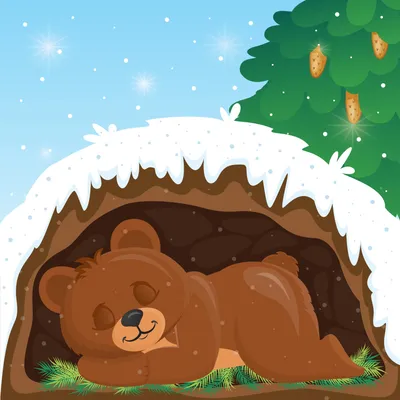 белый медведь спит на большом камне в зоопарке на белом изображении,  лежащий белый медведь, глава, Полярный медведь фон картинки и Фото для  бесплатной загрузки
