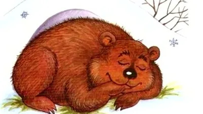 Медведь спит в берлоге, красиво, …» — создано в Шедевруме
