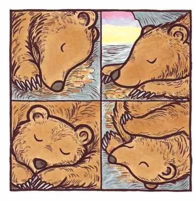 Что делать, если медведь не спит?
