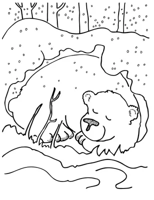 Раскраски Раскраска Раскраска Медведь спит в лесу Скачать медведь лес сон  Распечатать , Раскраски .