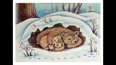 Медведь» — книжка в картинках для взрослых (о депрессии и освобождении от  неё) | Пикабу