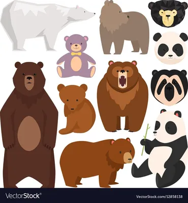 Картинки медведя для срисовки - 72 фото