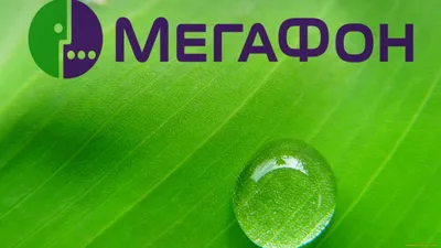 Мегафон Общаться Объявить - Бесплатная векторная графика на Pixabay -  Pixabay