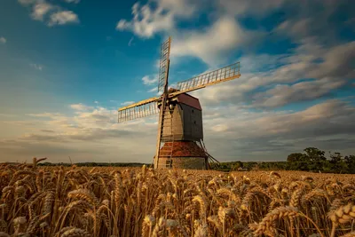 Мельница Поле Пшеницы Посевы - Бесплатное фото на Pixabay - Pixabay