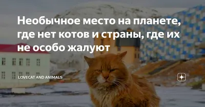 Почему на сайте нет схемы мест в салоне автобуса? Почему схема мест не  соответствует реальной?