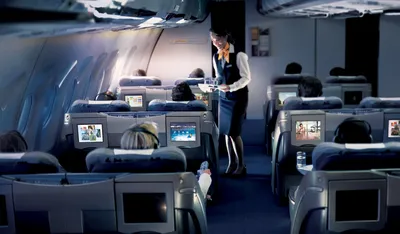 Что такое бизнес-класс в самолете и почему стоит хоть раз это попробовать?  | Andrew Contra Travel | Дзен