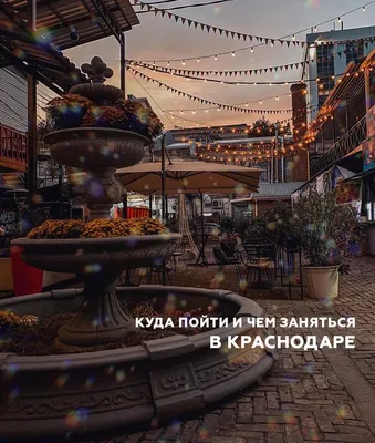 Куда пойти в Киеве — лучшие места для поклонников мира Гарри Поттера / NV