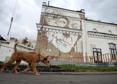 Взял 15 фотографий советской Москвы и сравнил, как сейчас выглядят эти места.  Улица Рождественка | Самый главный путешественник | Дзен