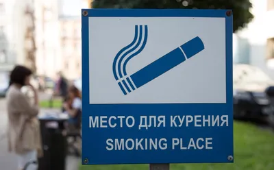 ЗНАК D03-1 Место для курения или потребления никотинсодержащей продукции  (надпись). Пластик, 200*100 мм купить