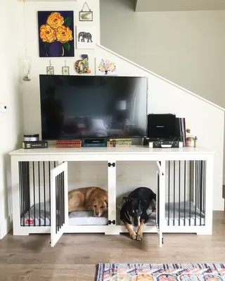 Pet Owner's Delight: Beautiful Dog Nooks That Add To Your Interior | Decoist