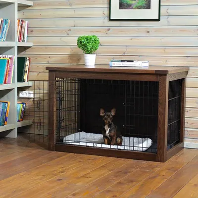 Собака в доме: советы, как обеспечить сохранность мебели и покрытий | Houzz  Россия