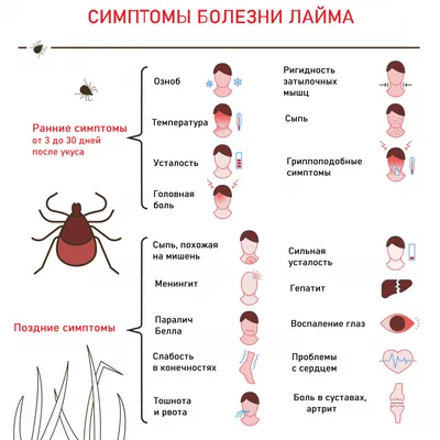 Профилактика укуса клеща | Республиканский реабилитационный центр для  детей-инвалидов