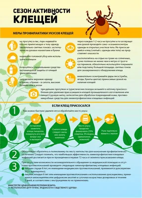 Как защититься от укусов клещей - горячий сезон 2018 | Витебский зональный  центр гигиены и эпидемиологии