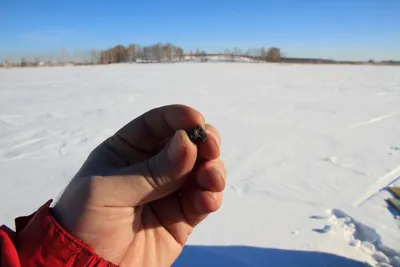 Файл:Chebarkul meteorite sample.jpg — Википедия